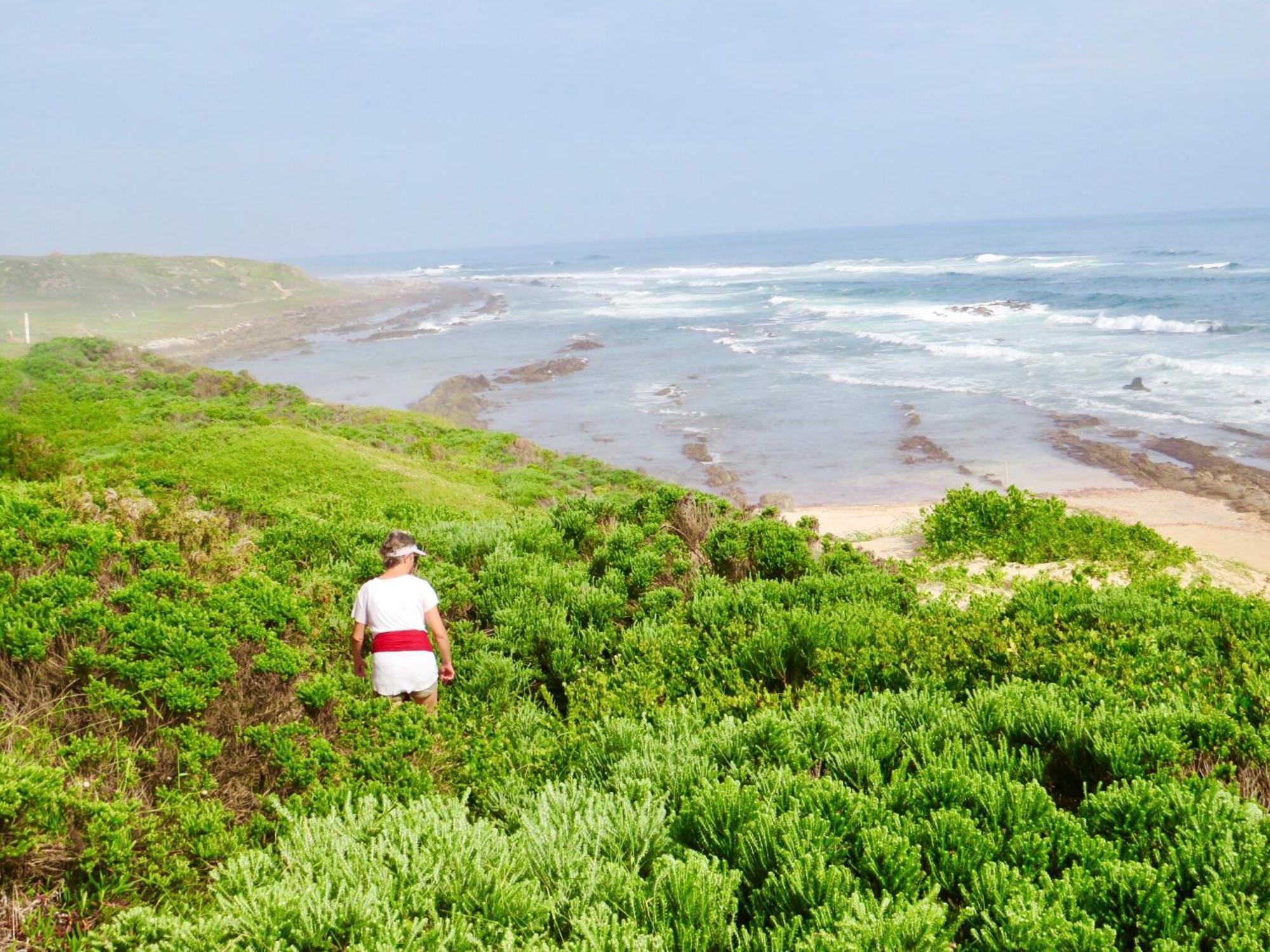 Whistlewood Walmer, Port Eizabeth