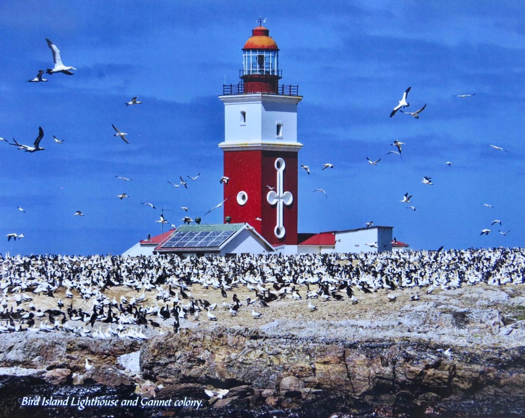 Whistlewood Walmer, Port Eizabeth * Port Elizabeth