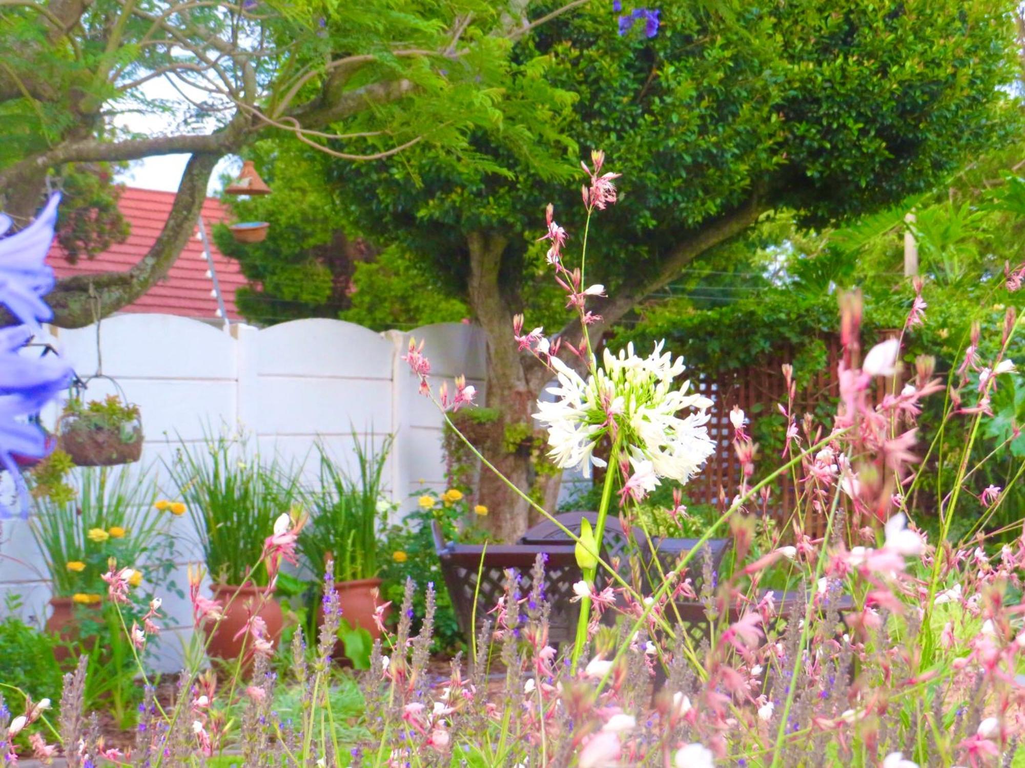 Gasthof Whistlewood Walmer, Port Eizabeth