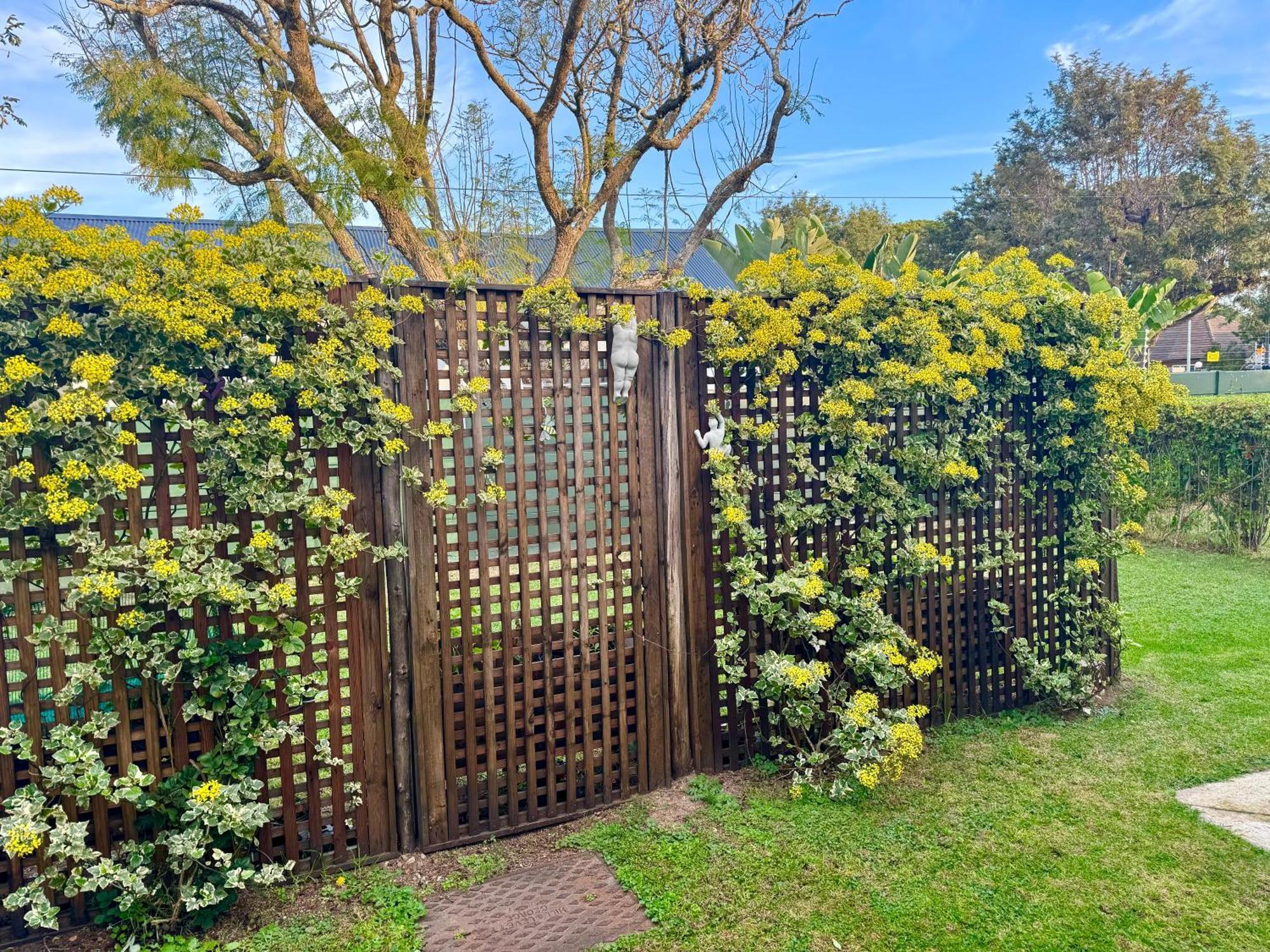Whistlewood Walmer, Port Eizabeth * Port Elizabeth